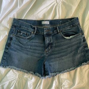 Loft shorts